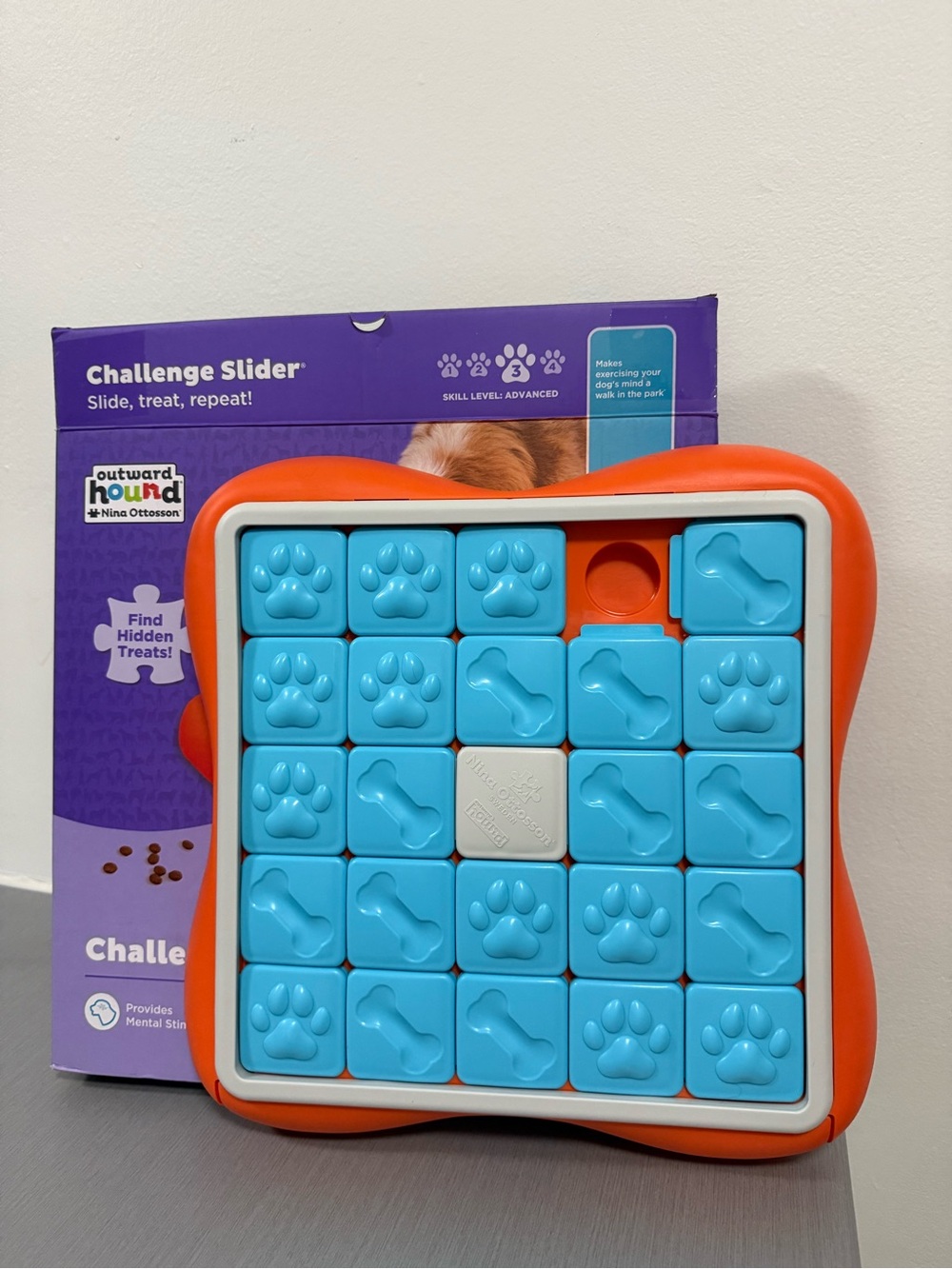 Outward Hound Nina Ottosson Challenge Slider Dog Puzzle – Level 3 Advanced